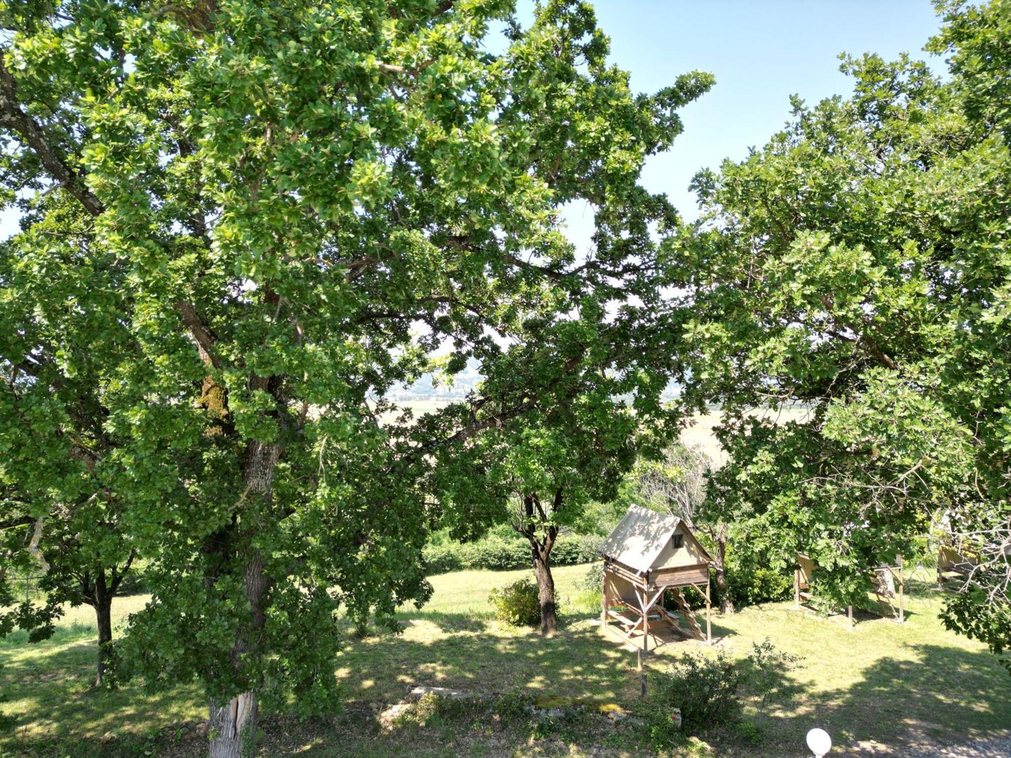 Domaine De Senaud Campsite *