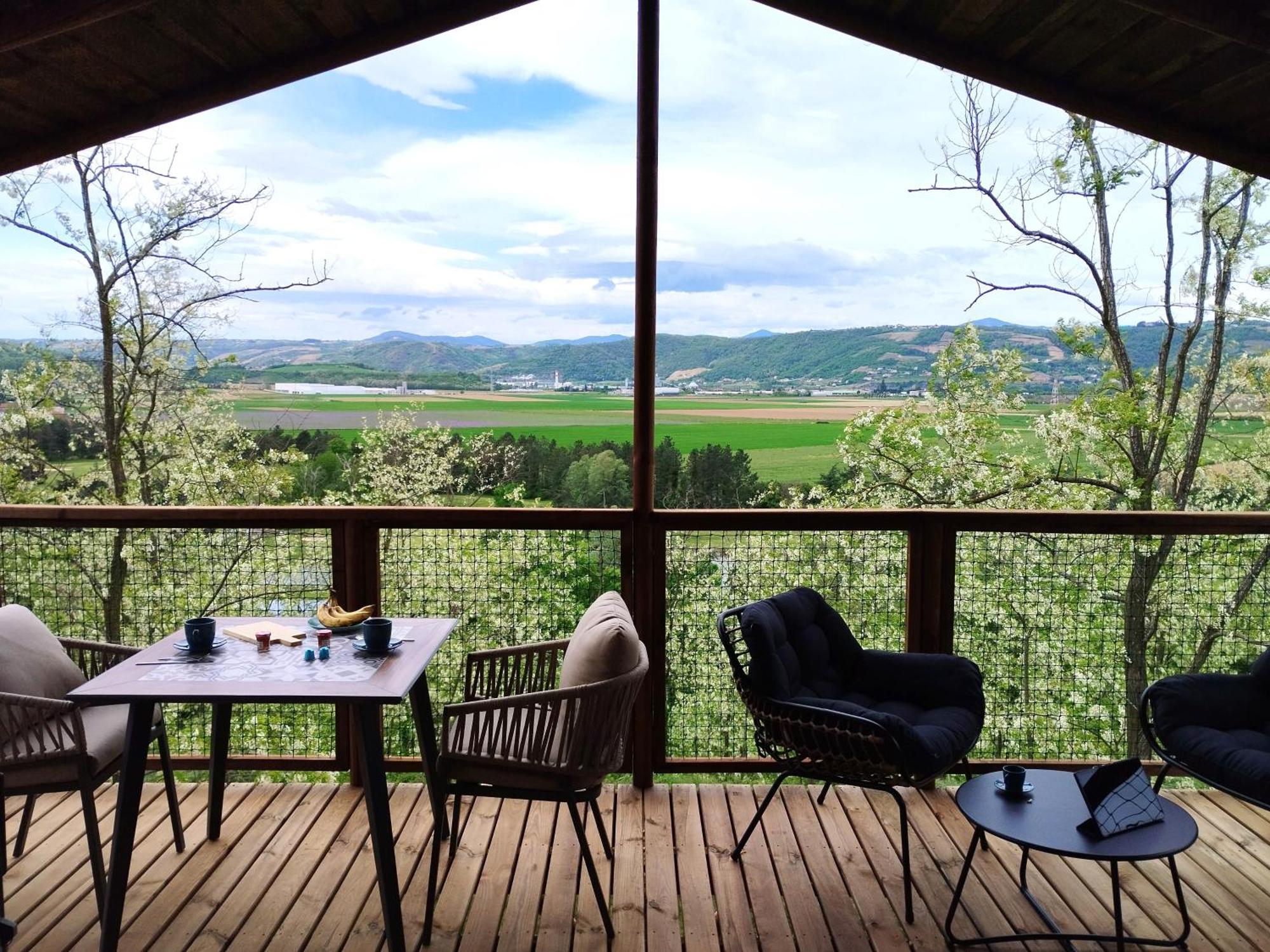 Domaine De Senaud
